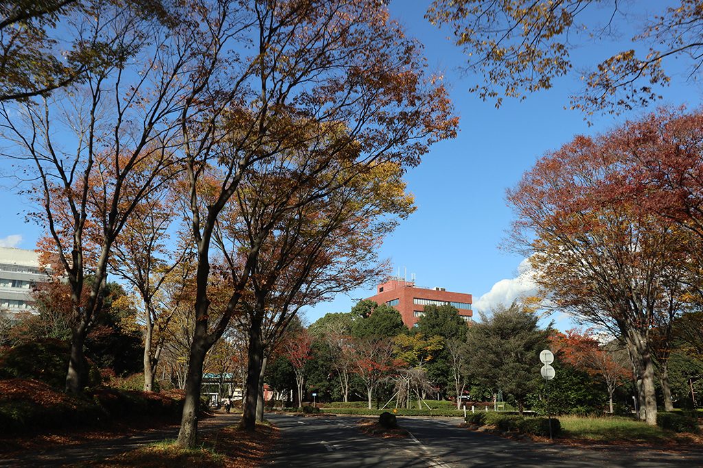 筑波大学がおすすめの人