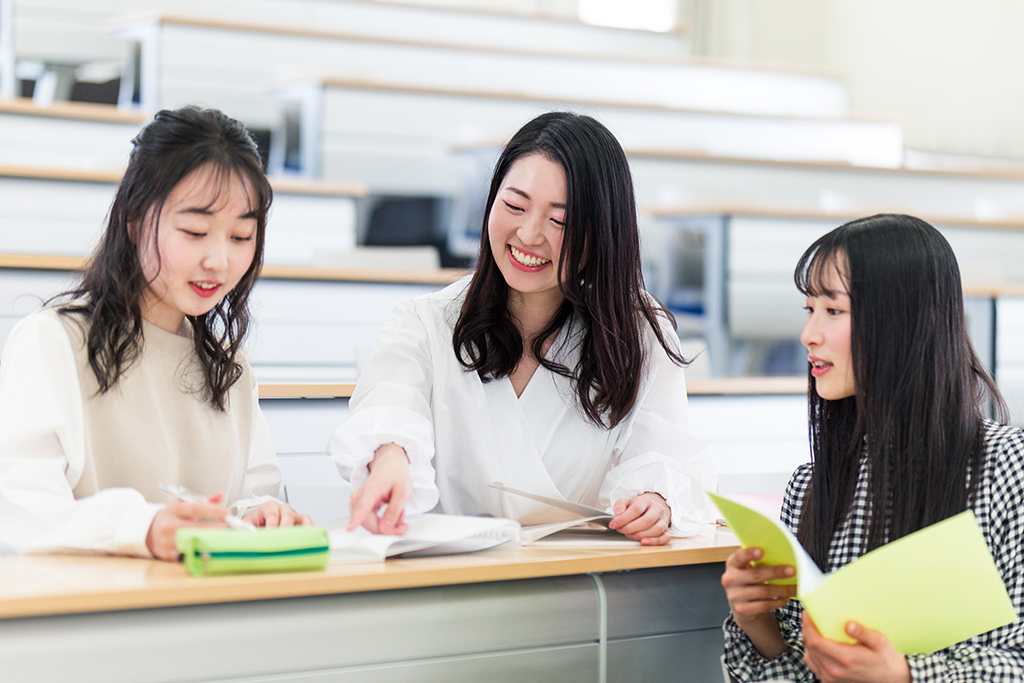 成成明学と日東駒専の概要