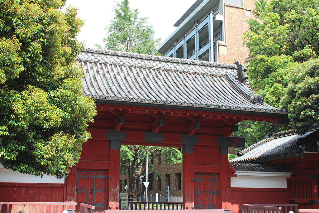 大学